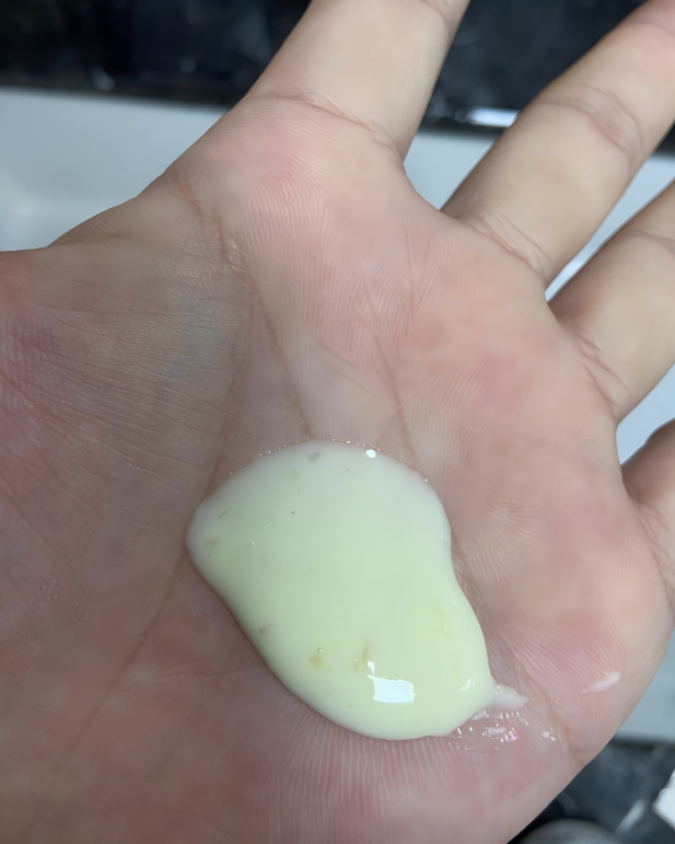 借自 厚厚风.png