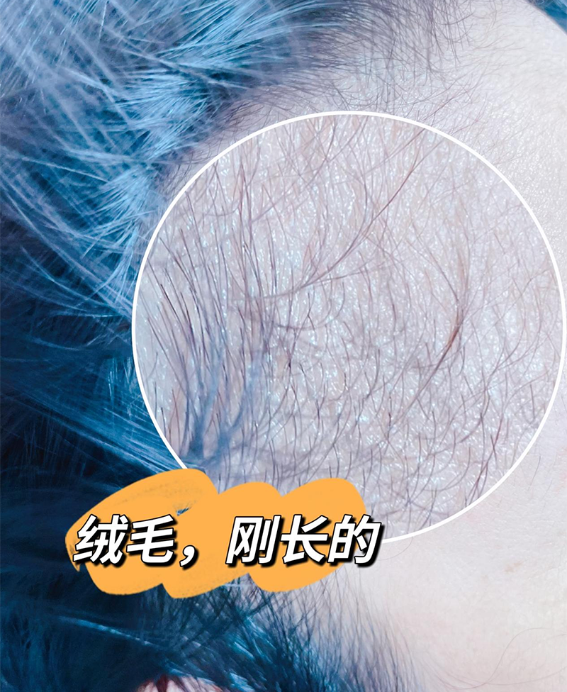 微信图片_202301031523022.png