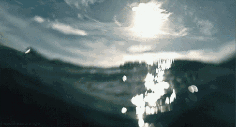 1676352413276061.gif 1.gif