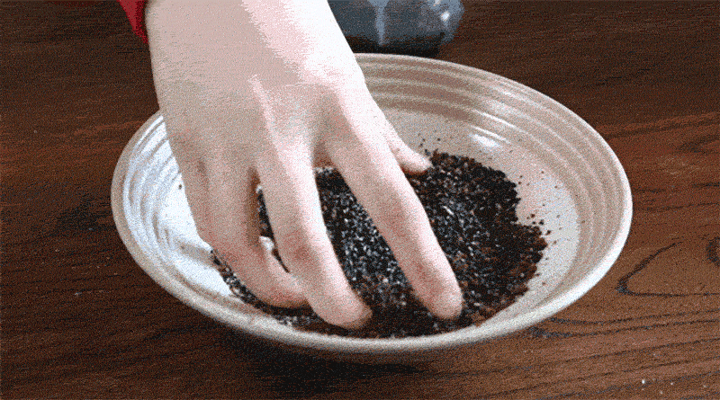 5.gif