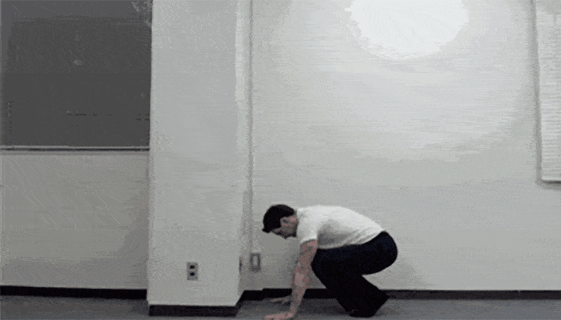 11.gif