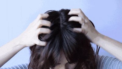 2.gif