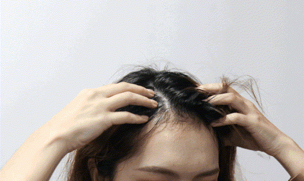2.gif