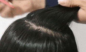 1.gif