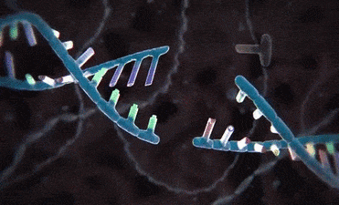 3.gif