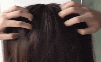 02.gif