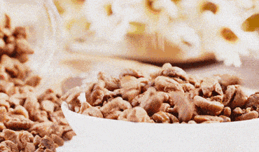 05.gif