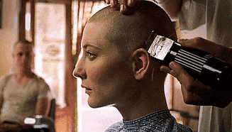 01.gif