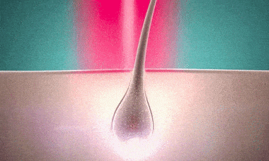 02.gif
