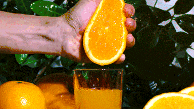 05.gif