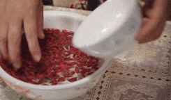 01.gif
